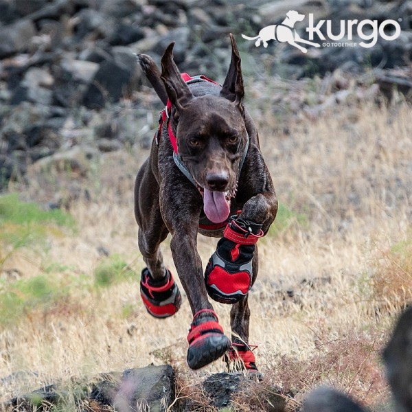 페오펫몰,커고 블레이즈 크로스 신발