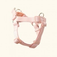 펫베오 Y형 올밴드 앞섬방지 강아지 하네스 소형견 중형견
