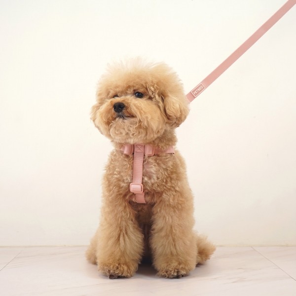 페오펫몰,펫베오 Y형 올밴드 앞섬방지 강아지 하네스 소형견 중형견