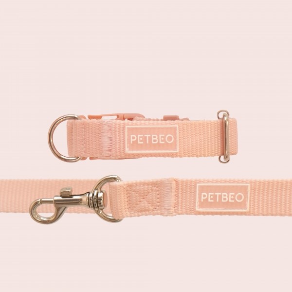 페오펫몰,[감사특가]펫베오 올찬 강아지 목줄 소형견 중형견