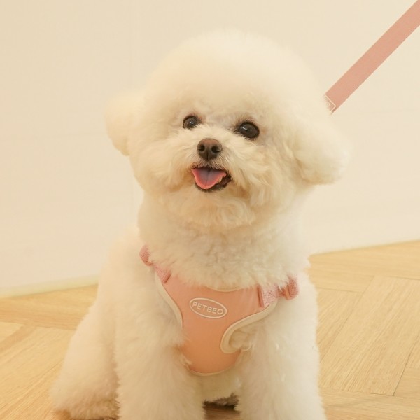 페오펫몰,펫베오 프리밴드 강아지 핸즈프리 리드줄