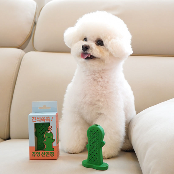페오펫몰,펫베오 츄잉 선인장 치석제거 노즈워크 칫솔 장난감