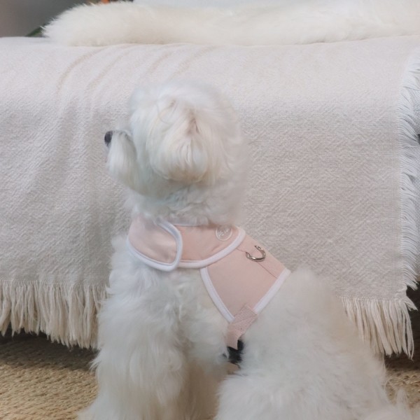페오펫몰,[댕린이특가]펫베오 5초 H형 강아지 하네스 가슴줄