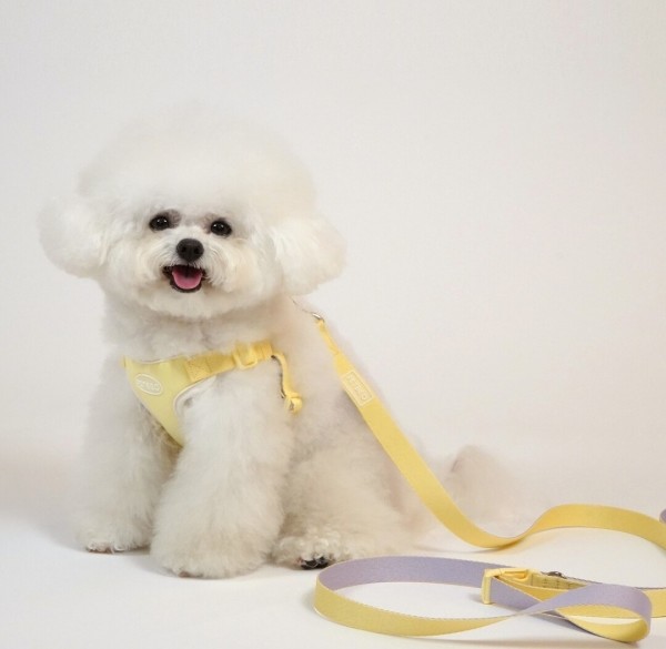 페오펫몰,펫베오 프리밴드 강아지 핸즈프리 리드줄