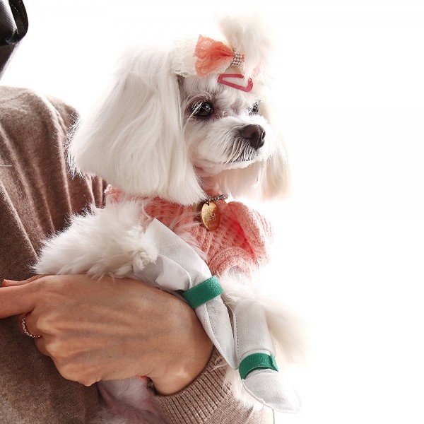 페오펫몰,코보콩 에어 슈즈 일회용 강아지 신발 120매