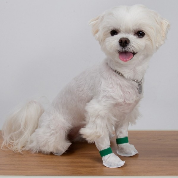 페오펫몰,코보콩 신모델 에어슈즈2 일회용 강아지 신발 60매 컬러신발