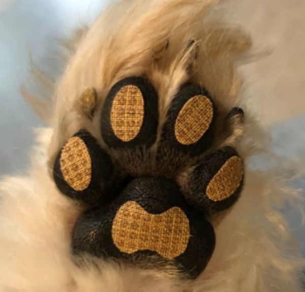 페오펫몰,런패드 강아지 미끄럼방지패치 매트 소형견 중형견 노령견 수술견 2차사고 예방방지 패치 패드 슬개골예방