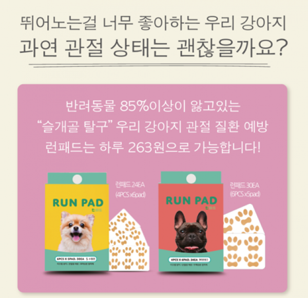 페오펫몰,런패드 강아지 미끄럼방지패치 매트 소형견 중형견 노령견 수술견 2차사고 예방방지 패치 패드 슬개골예방