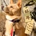 썸네일(스크롤)