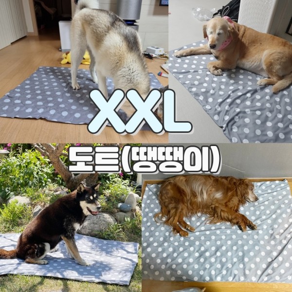 페오펫몰,[핫썸머특가] [세탁가능] 멍보스 냉감100% 강아지 애견 대형견 아이스 커버분리 쿨매트