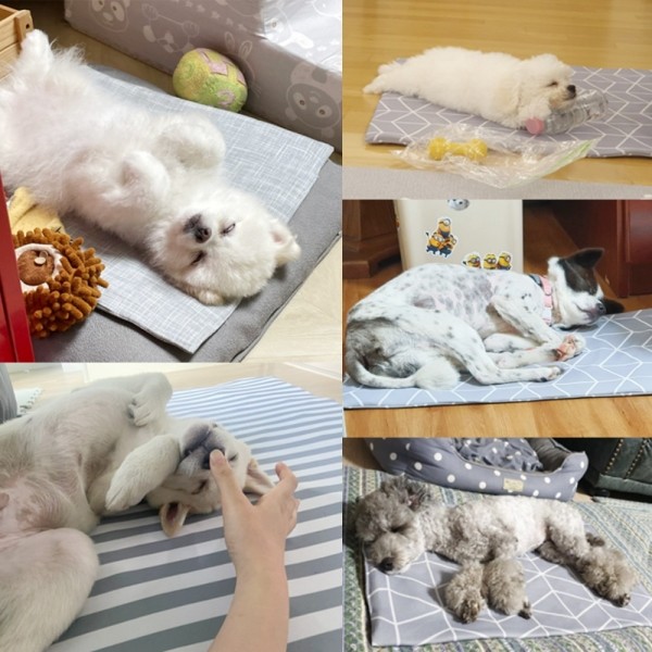 페오펫몰,[핫썸머특가] [세탁가능] 멍보스 냉감100% 강아지 애견 대형견 아이스 커버분리 쿨매트