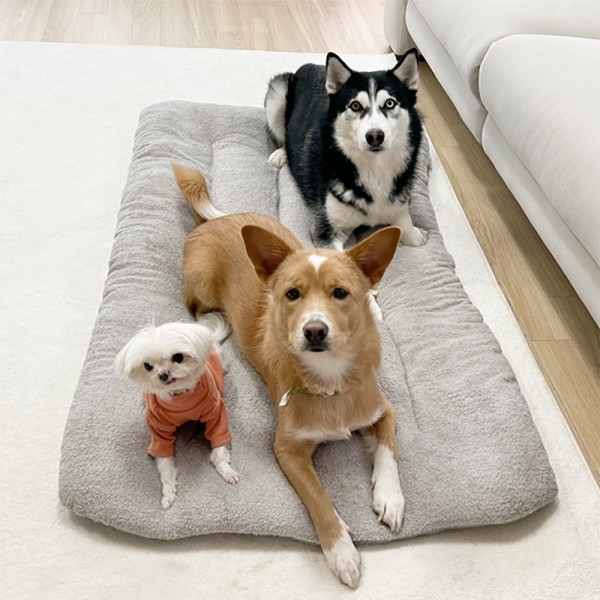 페오펫몰,댕댕이가게 극세사 강아지 애견 방석