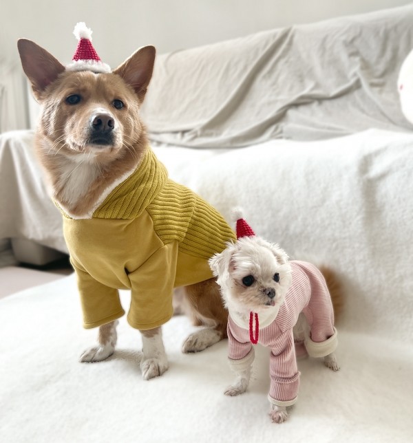 페오펫몰,강아지 애견 산타 크리스마스 모자