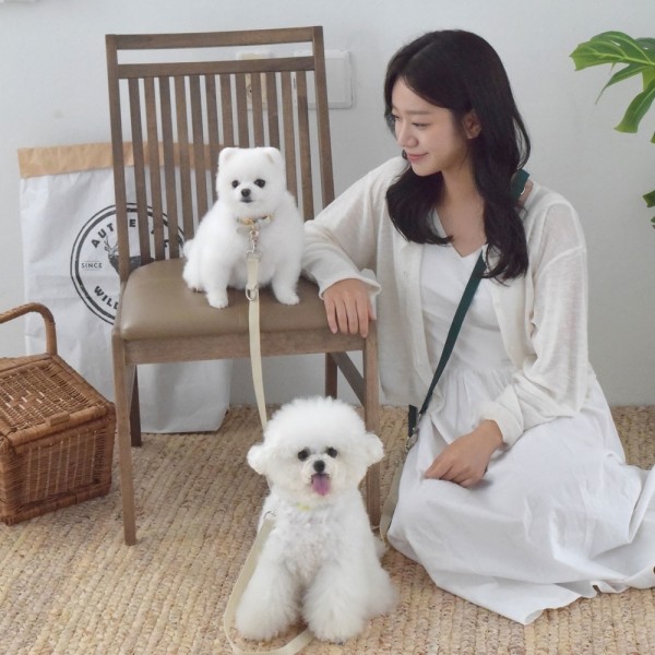 [핸즈프리] 멍보스 프리미엄 강아지 애견 앞섬방지 다견 리드줄