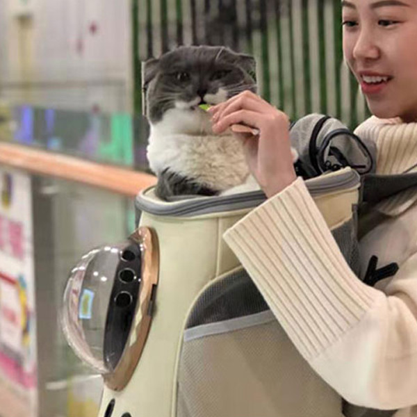 페오펫몰,스페이스캣 반려동물 프론트 백팩형 우주선 이동가방 2컬러