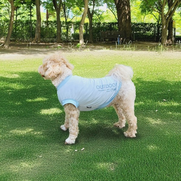 페오펫몰,[행복특가] 레토 데일리 강아지옷 티셔츠 애견의류 고양이 옷