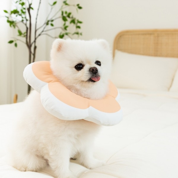 페오펫몰,[행복특가] 레토 강아지 고양이 넥카라 플라워 방수 초경량 대형견 소형견 LNC-F02