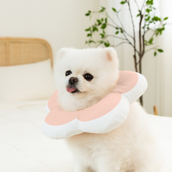 페오펫몰,[행복특가] 레토 강아지 고양이 넥카라 플라워 방수 초경량 대형견 소형견 LNC-F02