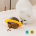 썸네일(스크롤)