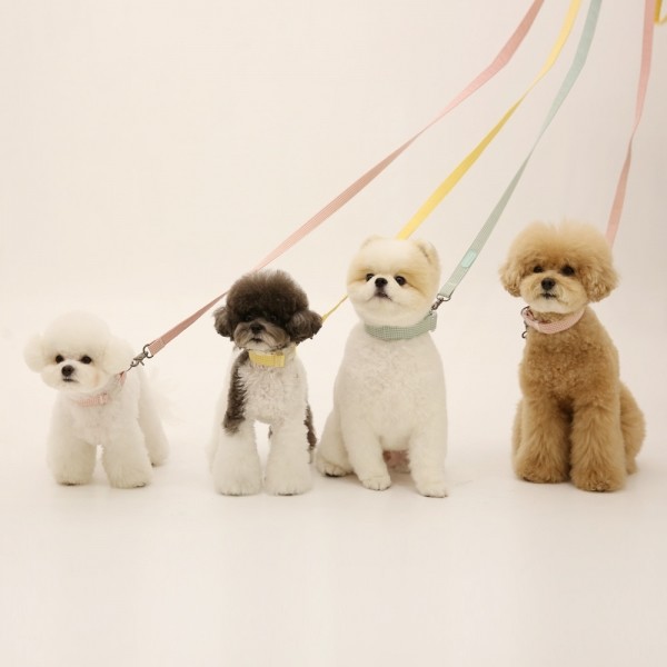 페오펫몰,[리토가토] 코튼캔디 리드줄 1.5m