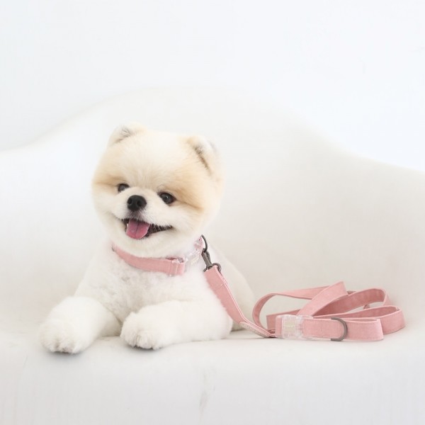 페오펫몰,[리토가토] 러비 스마트 리드줄 150cm