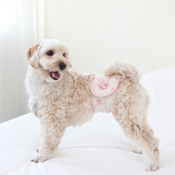 페오펫몰,[리토가토] 오가닉 포근 매너벨트