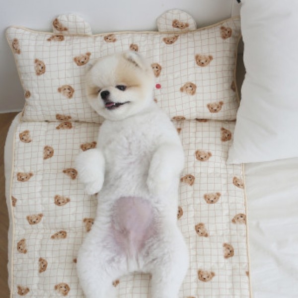 페오펫몰,[리토가토] 아이스베어 인견 쿨매트