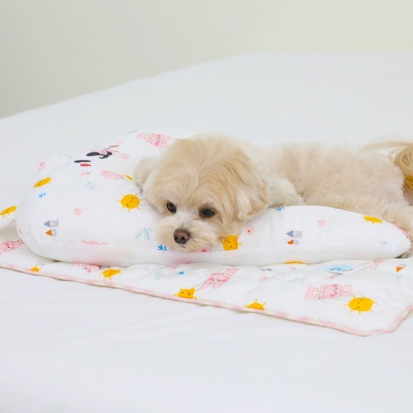 페오펫몰,[리토가토] 인견 허그 쿨 필로우