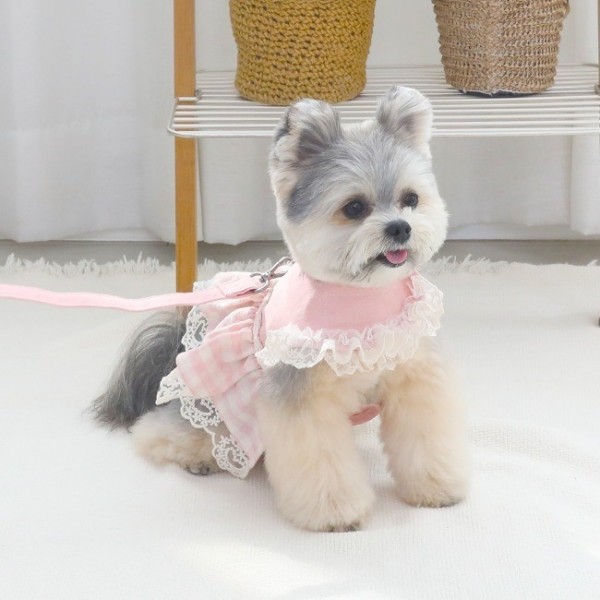 페오펫몰,[리토가토] 해피아워 하네스