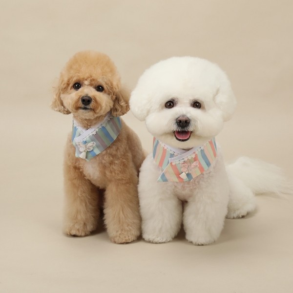 페오펫몰,[리토가토] 난나비 색동 한복 케이프 - 연무지개