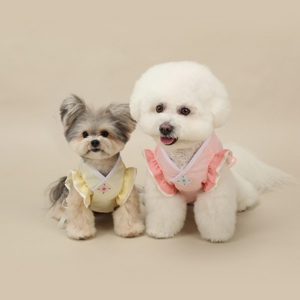 페오펫몰,[리토가토] 꽃나래 케이프 한복배자 - 노랑