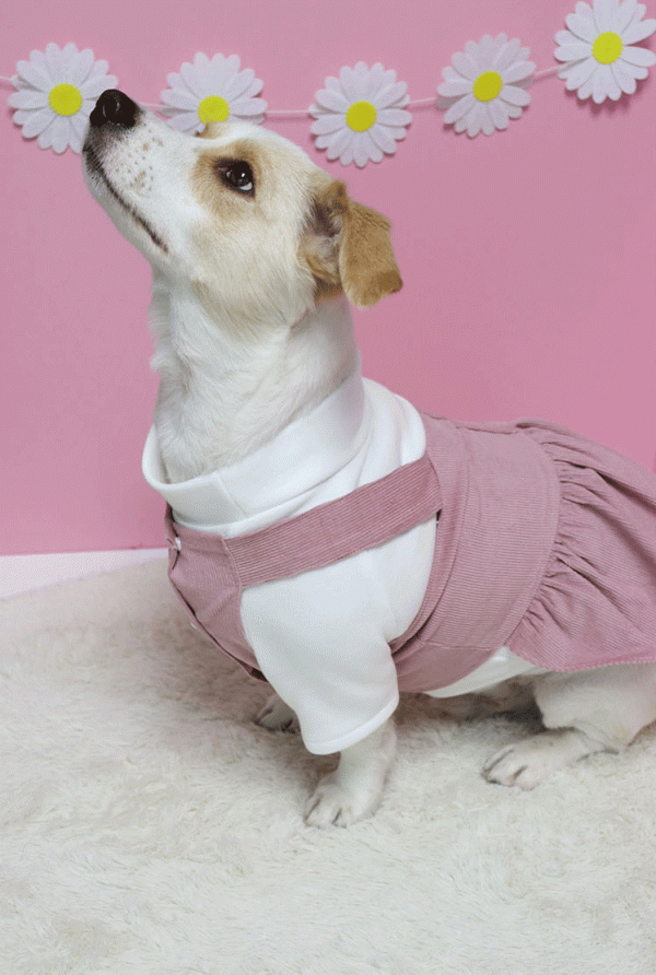 페오펫몰,댕꼬발랄원피스(+티셔츠세트) 핸드메이드강아지옷 강아지원피스 강아지티셔츠