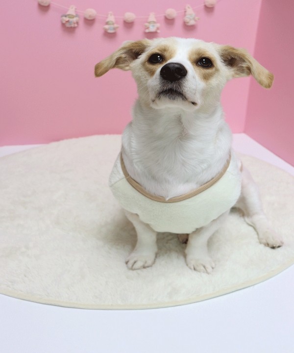 페오펫몰,꼼지조끼 핸드메이드 강아지조끼