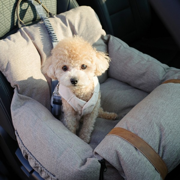 페오펫몰,스윗픽 빠방 카시트(카시트/쿠션 2in1)