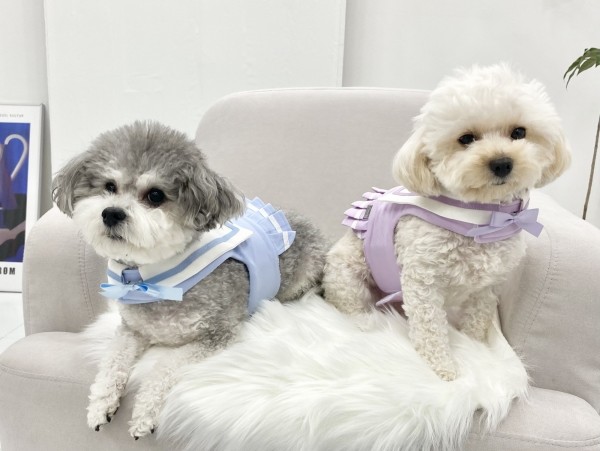 페오펫몰,강아지 세라복 유치원복 단체복 하네스 가슴줄 의류형하네스