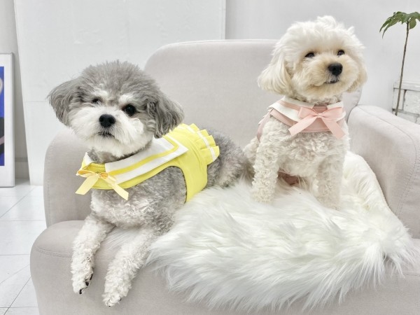 페오펫몰,강아지 세라복 유치원복 단체복 하네스 가슴줄 의류형하네스