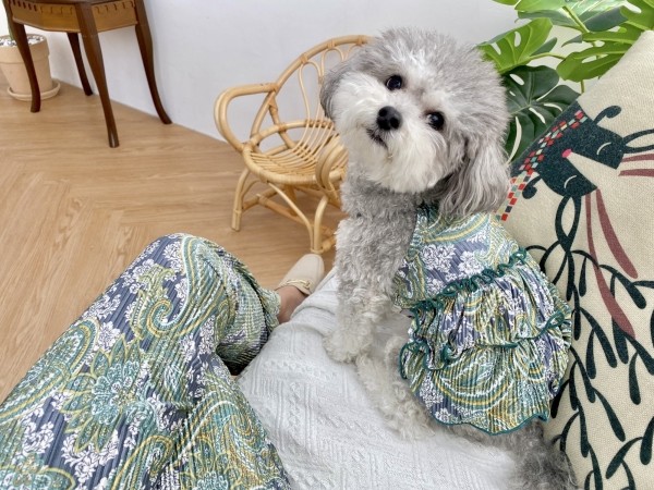 페오펫몰,강아지 에스닉주름바지 커플룩(견주용)