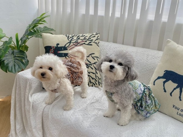 페오펫몰,강아지 에스닉원피스 커플룩 냉장고 여름원피스