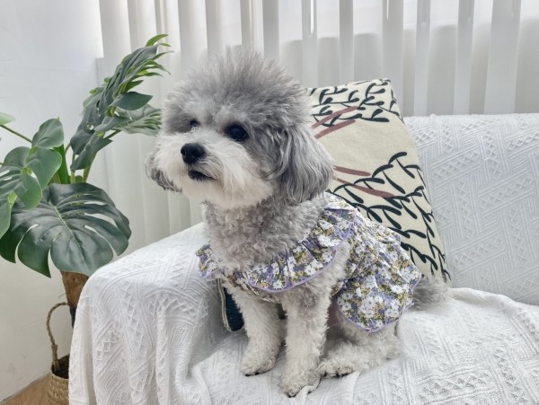 페오펫몰,강아지 쉬폰 플라워원피스 여름 커플룩 원피스