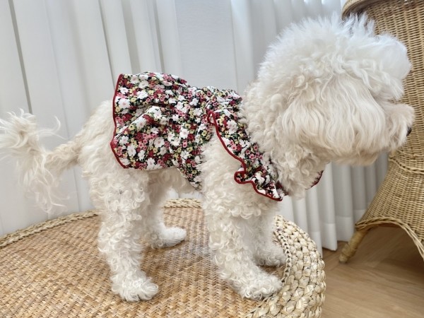 페오펫몰,강아지 쉬폰 플라워원피스 여름 커플룩 원피스