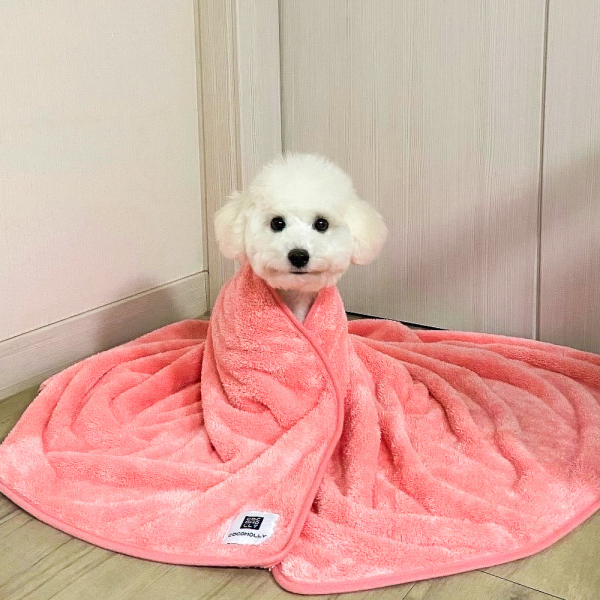 페오펫몰,코코몰리 강아지 고양이 목욕 수건 국산 초극세사 펫타올 [특대형-소프트핑크] [최저가]
