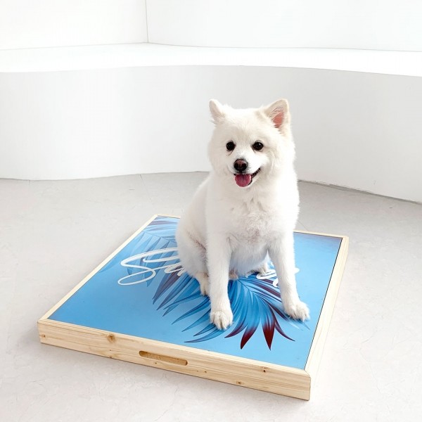 페오펫몰,애견 쿨매트 - 자체제작 디자인 친환경 세라믹 쿨매트