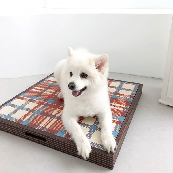 페오펫몰,애견 쿨매트 - 자체제작 디자인 친환경 세라믹 쿨매트