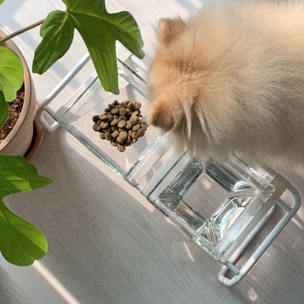 페오펫몰,오오티디 식기 2구 세트(HIGH)