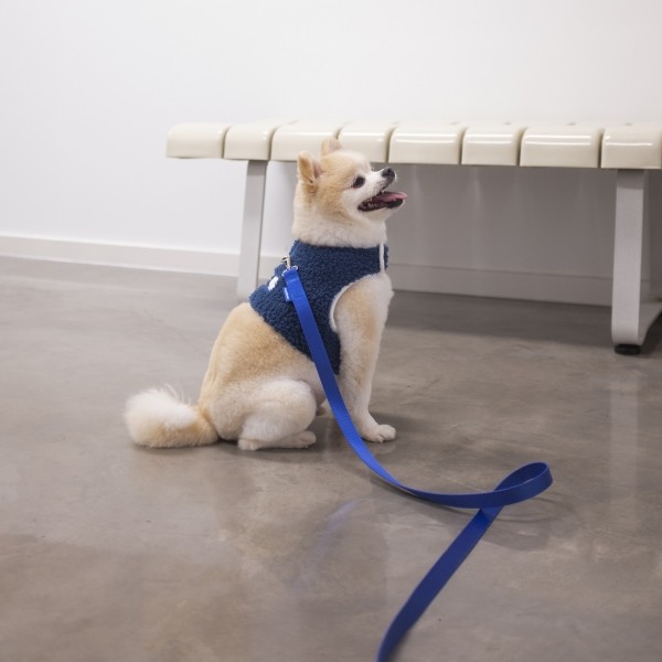 페오펫몰,[새해특가]라벨 리쉬 (3가지 색상)