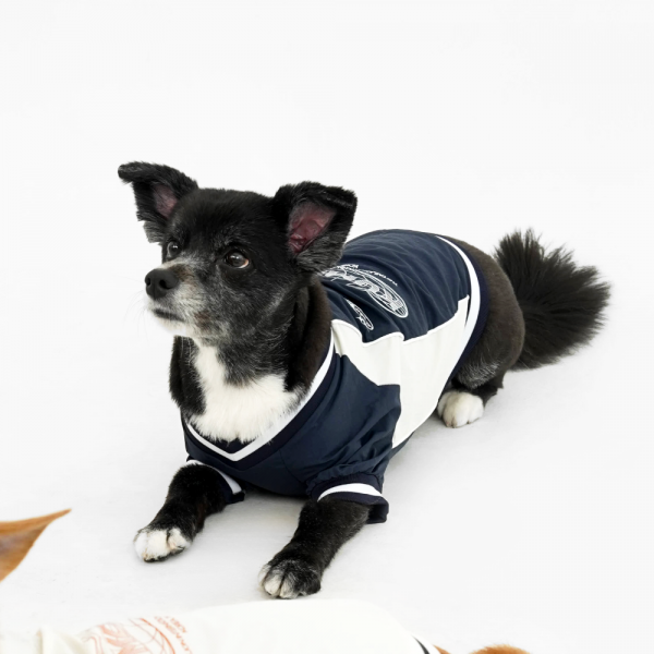 페오펫몰,바크하우스X꿈돌이 블록코어 나일론 티셔츠_네이비