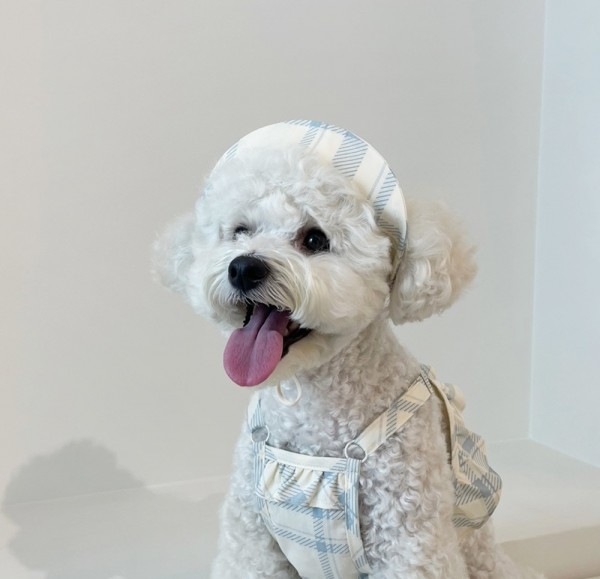 페오펫몰,Creamy puppy hat sun cap 크리미 퍼피햇 썬캡