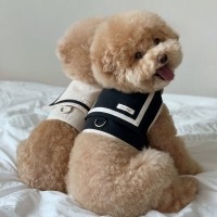 [우다다다]Today, love it. 강아지 세일러 하네스 ver.1