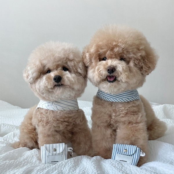 페오펫몰,[우다다다] Pure Blue Harness 퓨어 블루 하네스