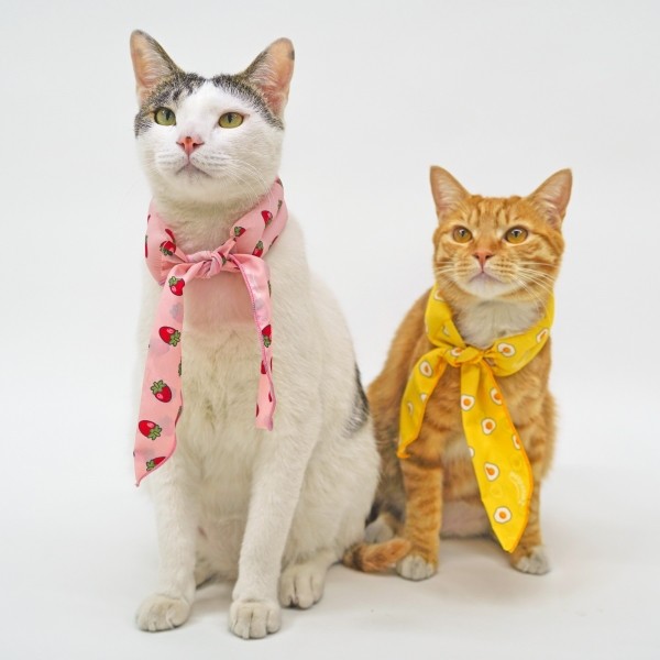 페오펫몰,펫프닝 강아지 쿨스카프 (딸기,계란,당근)